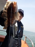 오늘의조황 - 4월21일 - 오이도피아,인천,배,바다낚시