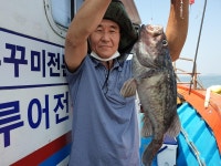 인천권조황 - 인천 만석부두 [아세아호] 6월 6일 우럭 생미끼 조황!