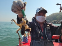 인천권조황 - 인천 만석부두 [인천 마린스타] 4월 25일 왕쭈꾸미 조황!!