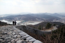 이포에 12km 가로수길 절경 만든다 | Save Internet 뉴데일리 이포에 12km 가로수길 절경 만든다