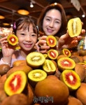 [포토] 롯데슈퍼 전남 보성서 온 스테비아 키위 맛보세요 | Save Internet 뉴데일리 [포토] 롯데슈퍼 전남 보성서 온 스테비아 키위... 