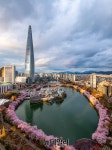 [포토] 석촌호 벚꽃, 롯데월드서 즐기세요 | Save Internet 뉴데일리 [포토] 석촌호 벚꽃, 롯데월드서 즐기세요