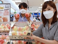 [포토] 롯데마트 새벽 복숭아 만나러 오세요 | Save Internet 뉴데일리 [포토] 롯데마트 새벽 복숭아 만나러 오세요