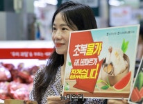 [포토] 다가온 초복 보양식 농협 하나로마트서 준비하세요 | Save Internet 뉴데일리 [포토] 다가온 초복 보양식 농협 하나로마트서... 