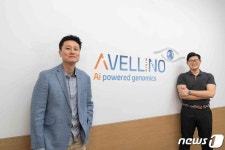 블라인드 | 아벨리노 기업정보