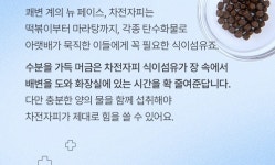 행복한 화장실 루틴을 원한다면 기획전 상세 | 올리브영 행복한 화장실 루틴을 원한다면