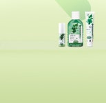 건강/위생용품 > 덴탈케어 | 올리브영 올리브영 공식 온라인몰