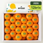 온브릭스 [효돈농협] 제주감귤 에디션, 고당도 하우스 감귤 3kg이상(12brix/특품) | 올리브영 온브릭스 [효돈농협] 제주감귤 에디션... 