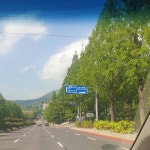 올리브영 온라인몰 요구르트냥냥냥