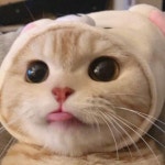 올리브영 온라인몰 고양222222