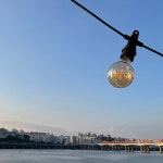 올리브영 온라인몰 yeapp