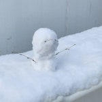 올리브영 온라인몰 yhpps