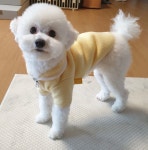 올리브영 온라인몰 다롱이누나