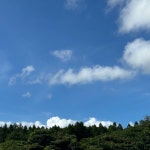 올리브영 온라인몰 돋을볕