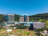 강원랜드(035250) 종목뉴스 | 뉴스/시세 - 팍스넷 증권포털