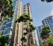 부동산114 [부동산114] [고급빌라] 내집을 찾아주는 해결사 정부장  매매 희망가격 16,800만원