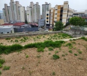 [부동산114] [직거래] 토지 매매 경기도 남양주시 진접읍 장현리 570-6 외 10필지 65억