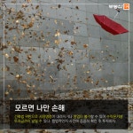 [부동산114] 조심스러운 레지던스형 오피스텔 투자