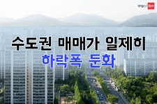 부동산 빅데이터, 부동산114
