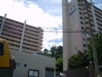 부동산114 [부동산114] [아파트] 대림한숲타운 111동 매매 희망가격 60,000만원