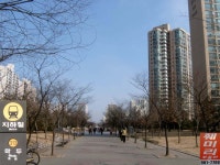 부동산114 [부동산114] [아파트] 강촌5단지라이프 511동 전세 희망가격 36,500만원