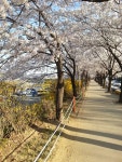 부동산114 [부동산114] [다세대] 석수동 매매 희망가격 24,000만원