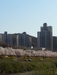 부동산114 [부동산114] [아파트] 코오롱하늘채 103동 매매 희망가격 41,000만원
