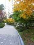 부동산 빅데이터, 부동산114 [부동산114] [아파트] 위시티일산자이4단지 401동 전세 희망가격 50,000만원