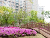 부동산114 [부동산114] [아파트] 광교상록자이(A29) 4201동 전세 희망가격 49,000만원