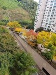 부동산114 [부동산114] [아파트] 만현마을9단지자이 911동 전세 희망가격 31,000만원