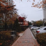 부동산 빅데이터, 부동산114 [부동산114] [아파트] 청석마을8단지동문굿모닝힐 806동 매매 희망가격 40,000만원