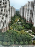 부동산 빅데이터, 부동산114 [부동산114] [아파트] 위시티블루밍5단지 502동 매매 희망가격 87,000만원