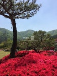 [부동산114] [전원주택] 도척면 매매 희망가격 100,000만원