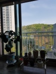 부동산 빅데이터, 부동산114 [부동산114] [아파트] 내대지마을푸르지오 402동 매매 희망가격 84,000만원