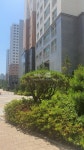 부동산 빅데이터, 부동산114 [부동산114] [아파트] 가온마을3단지세종한신휴플러스·제일풍경 309동 매매 희망가격 56,000만원