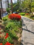 부동산 빅데이터, 부동산114 [부동산114] [아파트] 수원권선자이e편한세상 126동 전세 희망가격 43,000만원