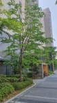 부동산 빅데이터, 부동산114 [부동산114] [아파트] 가온마을3단지세종한신휴플러스·제일풍경 324동 매매 희망가격 65,000만원