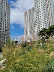 부동산 빅데이터, 부동산114 [부동산114] [아파트] 연제롯데캐슬&데시앙 105동 전세 희망가격 37,000만원