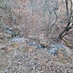 [부동산114] [토지] 적상면 매매 희망가격 31,000만원