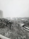 부동산 빅데이터, 부동산114 [부동산114] [아파트] 동탄숲속마을자연앤데시앙 875동 매매 희망가격 49,000만원