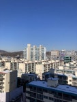 부동산 빅데이터, 부동산114 [부동산114] [아파트] 우성2차 202동 매매 희망가격 31,000만원