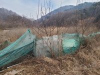 [부동산114] [토지] 곤지암읍 매매 희망가격 34,000만원