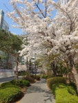 [부동산114] [아파트] 수원권선자이e편한세상 126동 전세 희망가격 35,000만원