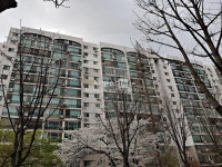 [부동산114] [아파트] 장미1차 7동 전세 희망가격 80,000만원