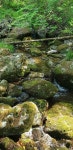화북면-정각리-001 | [부동산114] [토지] 판부면 매매 희망가격 15,000만원