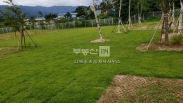 [부동산114] [상가건물] 일동면 매매 희망가격 50,000만원