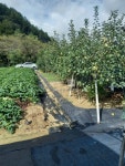 [부동산114] [토지] 추부면 매매 희망가격 16,700만원