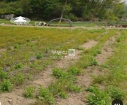[부동산114] [토지] 지평면 매매 희망가격 16,500만원
