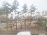 [부동산114] [원룸] 노고산동 월세 희망가격 1,000/85만원
