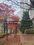 [부동산114] [아파트] 수원권선자이e편한세상 103동 매매 희망가격 53,000만원